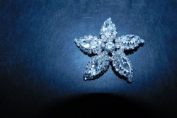 SHERMAN STAR BROOCH MAIN